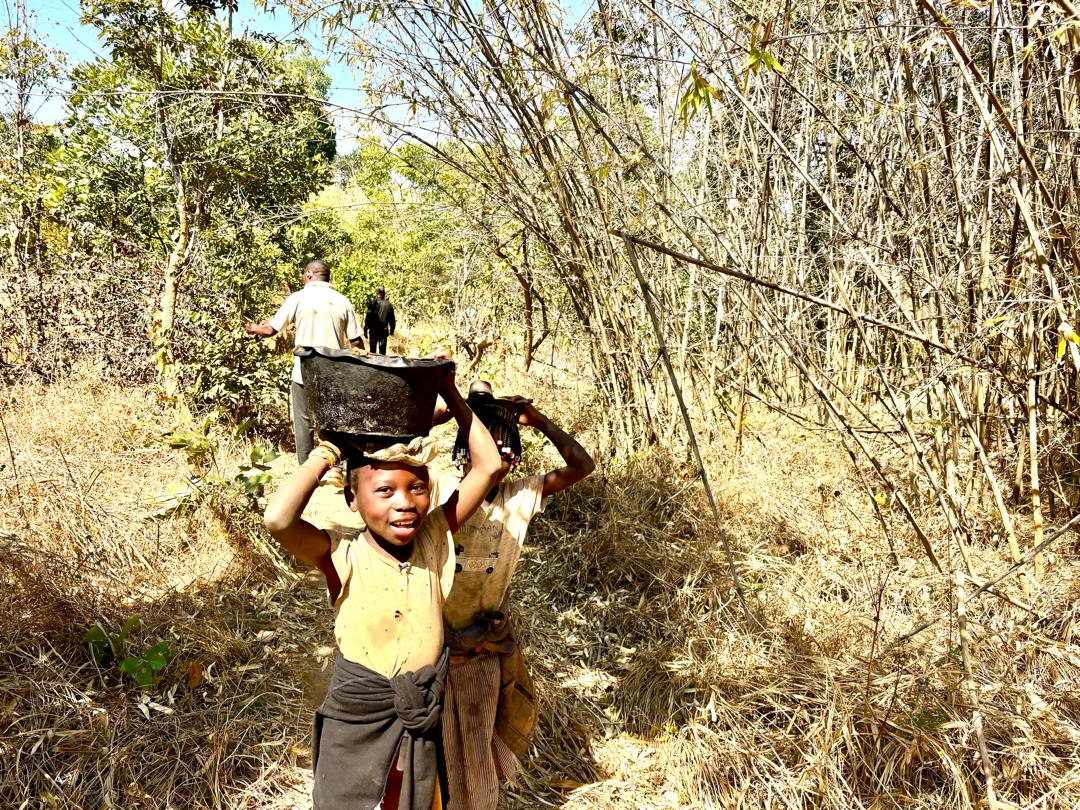 B4D Biochar Production